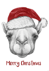 Santa Camel